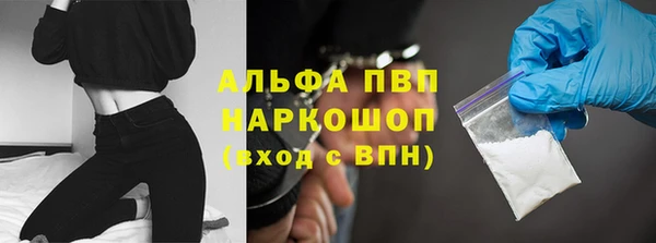 дмт Каменка