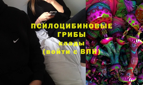 первитин Каменногорск